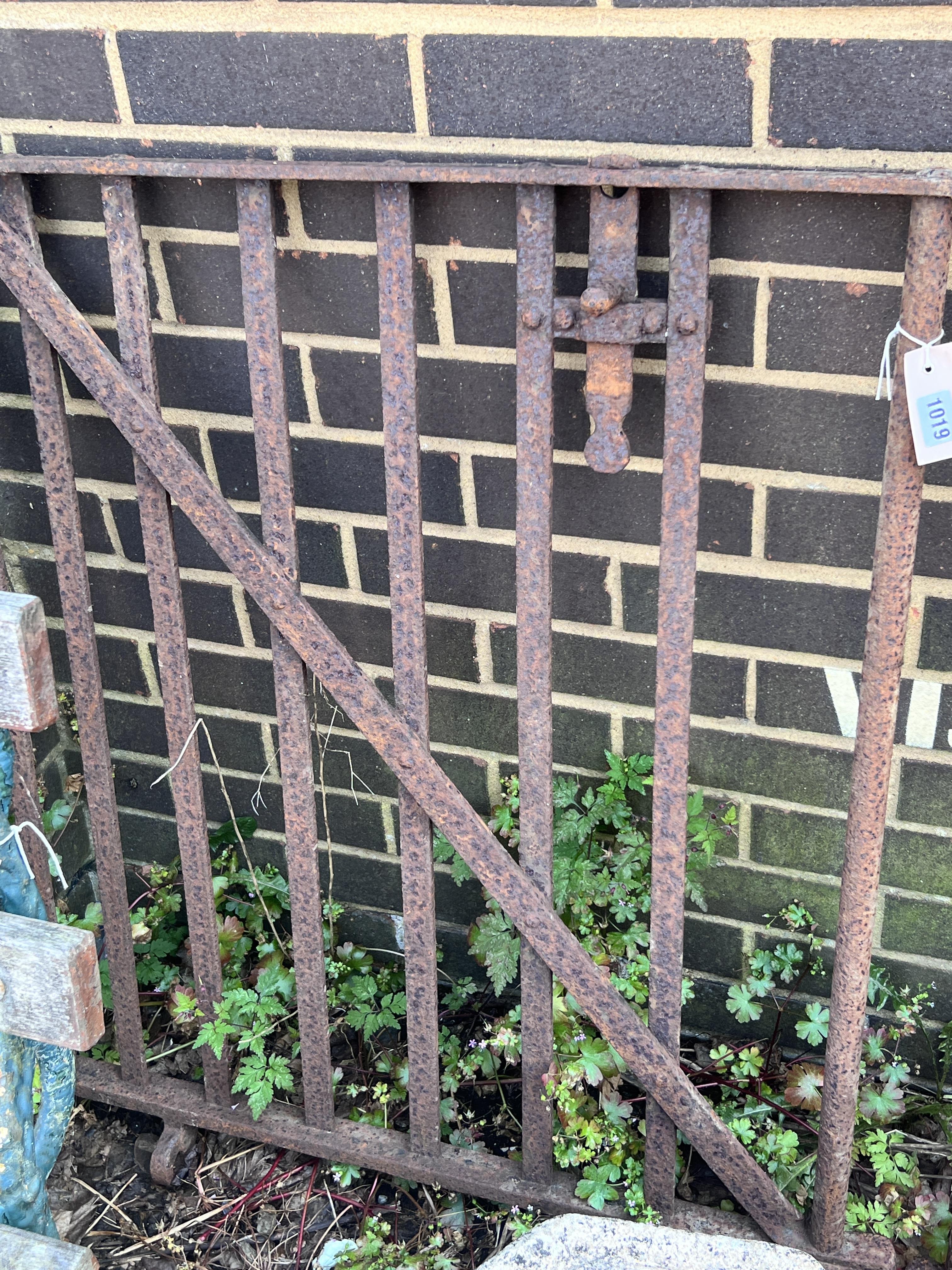 A pair of wrought iron garden gates, each width 84cm, height 78cm